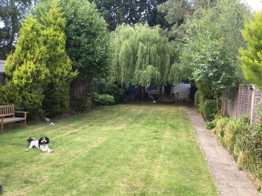 The Studio, Ascot Winkfield Bagian luar foto